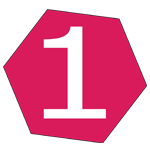 Polygon 1 icon - promote labs