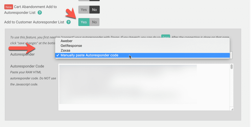 z-autoresponder2 Membership Site Services Review - Zaxaa Cart Abandonment settings