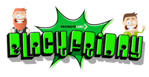 Promote Labs Black Friday