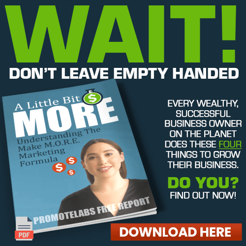 Click To Download - A Little Bit MORE - FREE REPORT