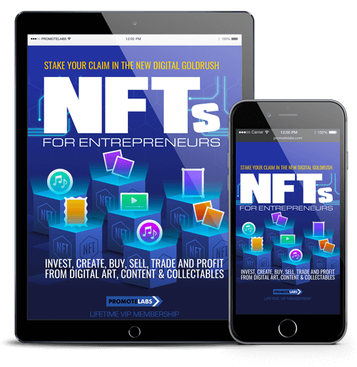 NFTs For Entrepreneurs Coaching Program